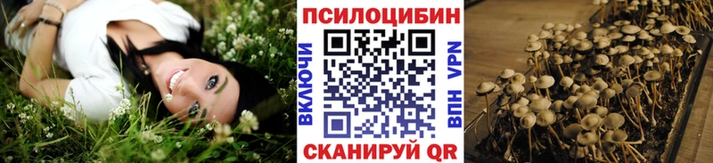 как найти   Афипский  Псилоцибиновые грибы ЛСД 